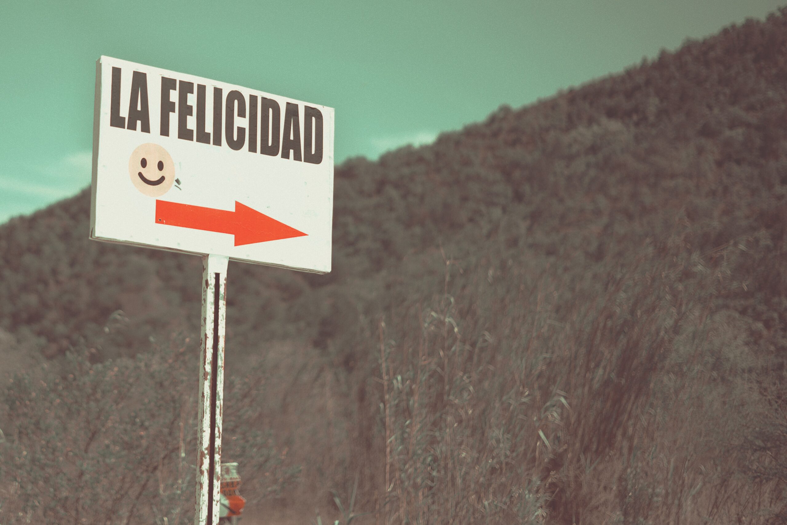 Imatge d'un senyal amb direcció a la felicitat